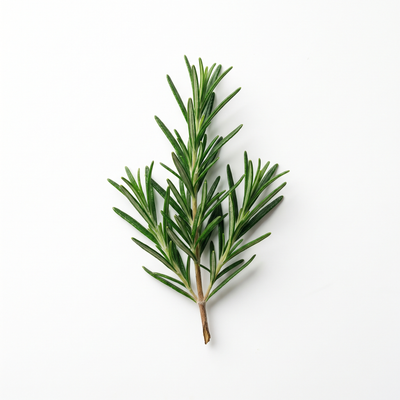 Rosemary